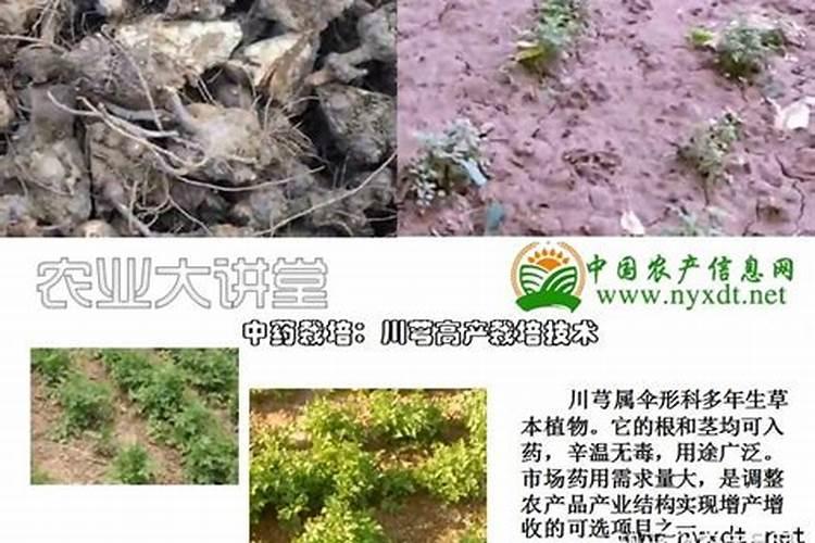 拼多多复合肥比店里便宜是真货吗