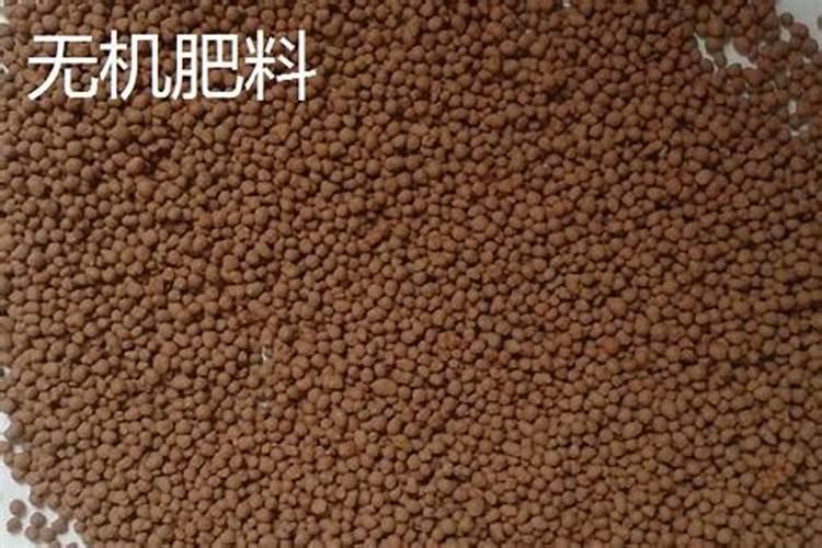 复合肥兑水好还是埋土好