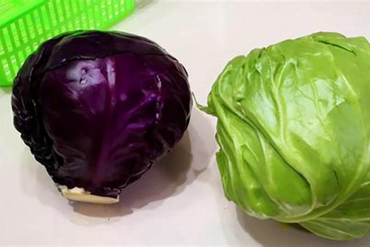 结球甘蓝对肥料有哪些需求？