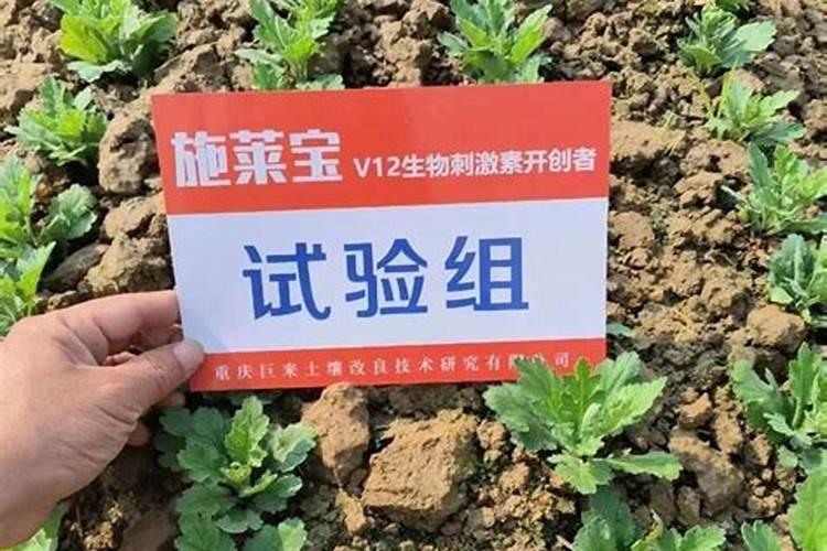 刚栽的水果树怎样管理