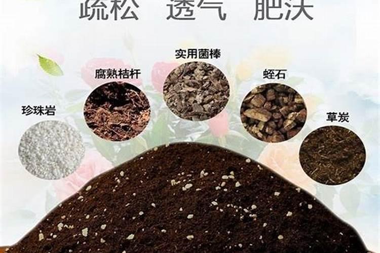 花卉养殖能不能上化肥