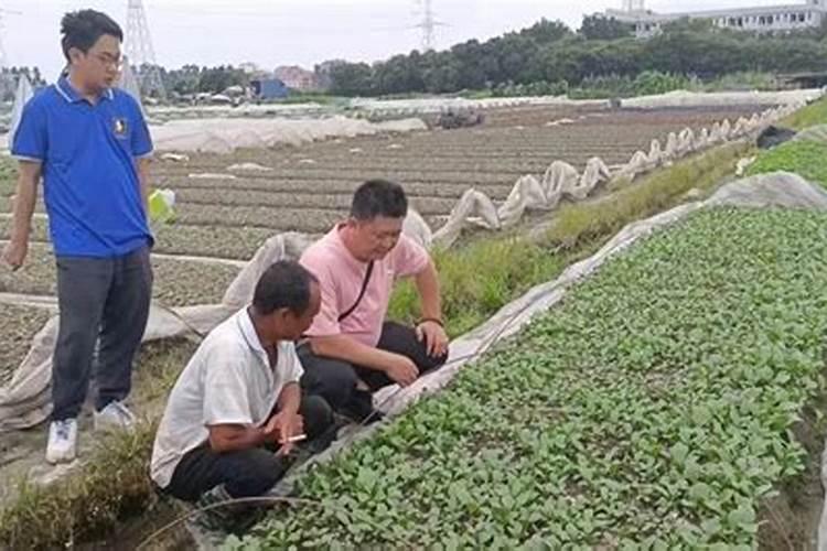 广东维生联塑科技股份有限公司生产几种l水溶肥