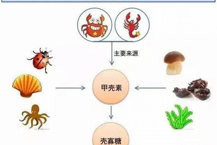 芸乐收叶面肥怎么样？可以茶叶喷洒吗？