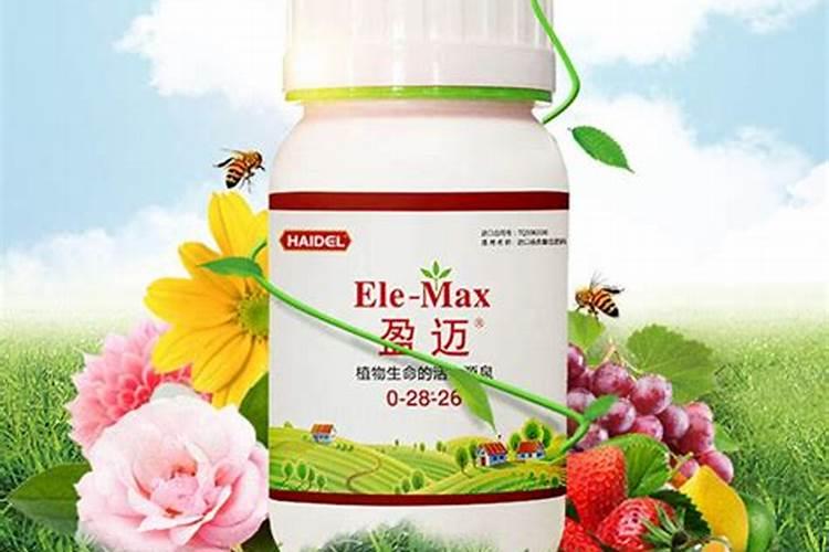 盆栽花卉用什么肥料比较好？哪些肥料生根壮根肥效好