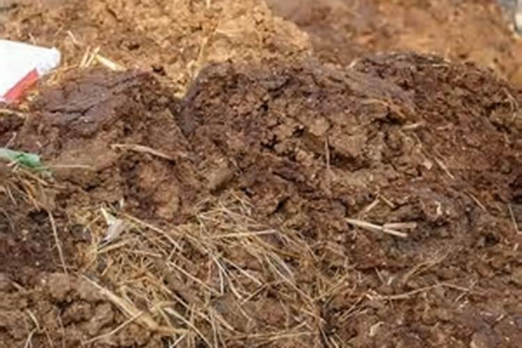 猪粪,人粪,鸡粪,牛粪谁肥力最好