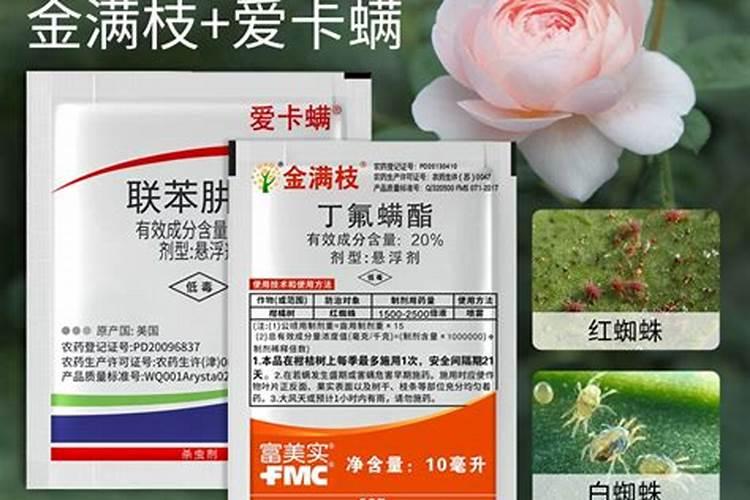 种植甘蓝到底应该施用硫酸钾还是氯化钾呢？为什么？