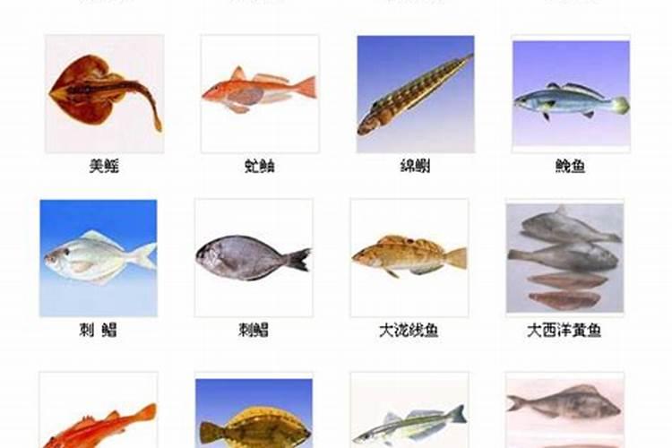 烟台的特色小吃是什么,具体地点在哪里？