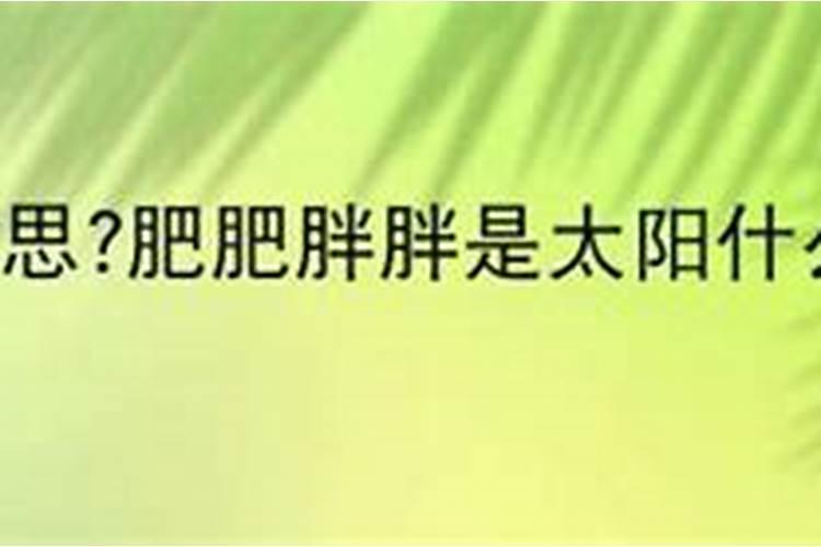 生物有机肥怎么用效果好