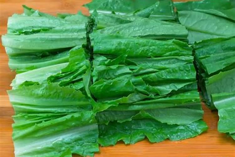 油麦菜用什么肥料好