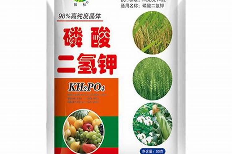 金正大还是龙蟒大地好