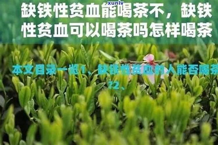 氮、磷、钾对茶树生长发育的作用