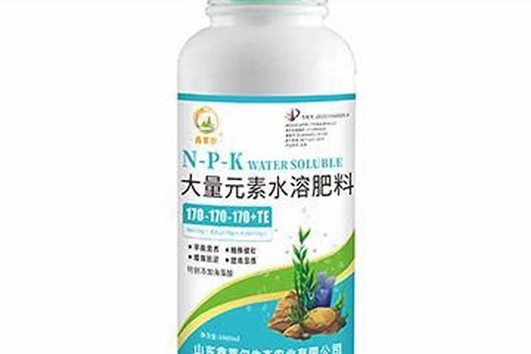 种辣椒秧什么时候打药