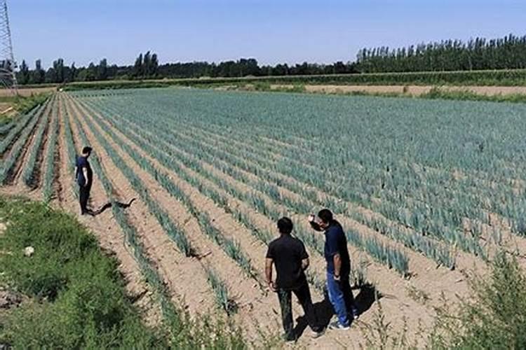 什么是磷化氢、磷化锌、磷化铝中毒？哪些职业需要注意？