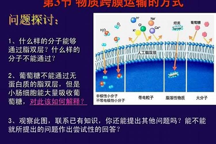 糖醇钙能和芸苔素内脂混用吗