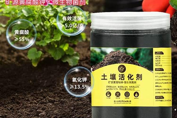 土壤活化剂与微生物菌剂用哪种好