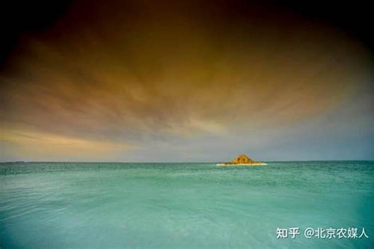 红掌开花期间用什么肥