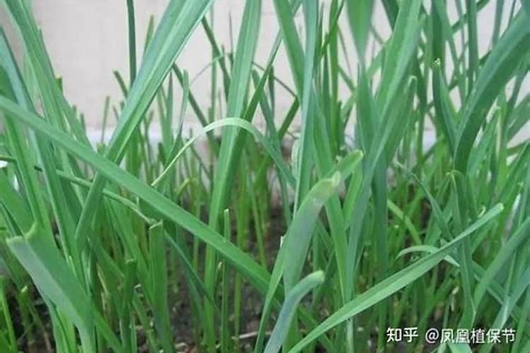 果实膨果上色,为什么要用高磷高钾类的肥料？