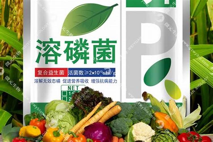 番茄挂果后的施肥方法