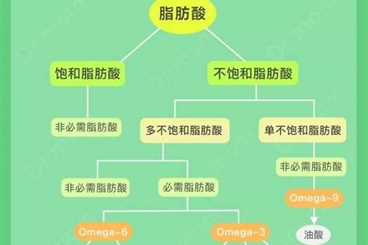 三卤甲烷影响三卤甲烷生成的主要因素