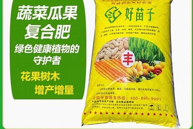 天堂鸟开裂的叶子修复