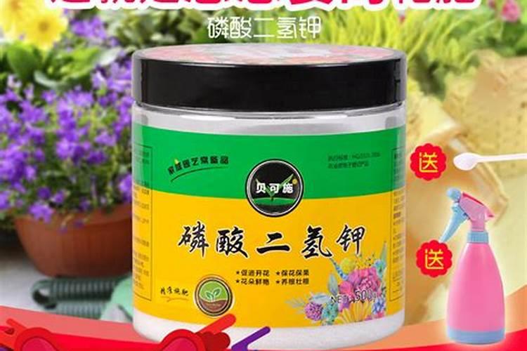 效果好的水溶肥是哪家