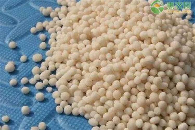 玉米钾肥的正确使用方法