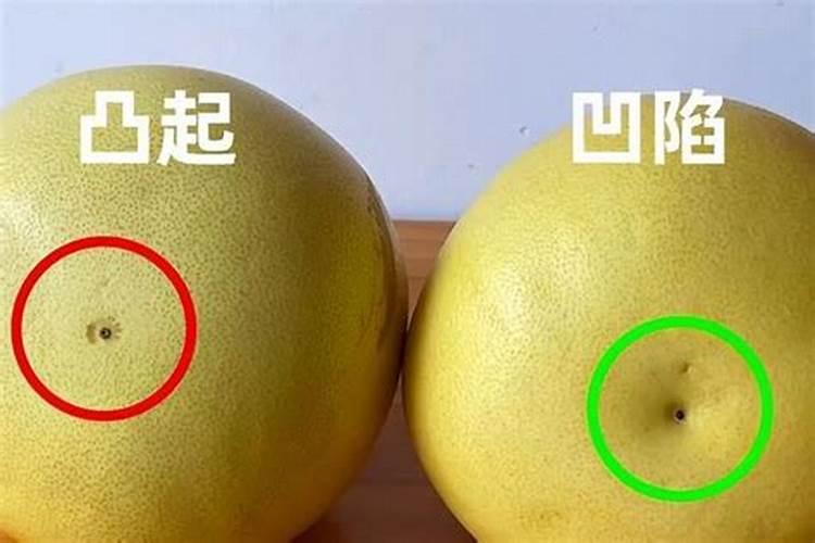 柚子施什么肥最甜