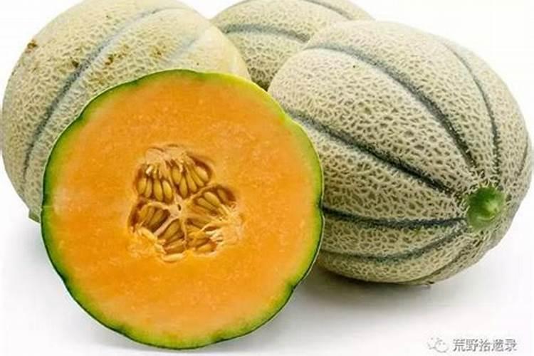 睡莲怎么催花 睡莲需不需要醒花