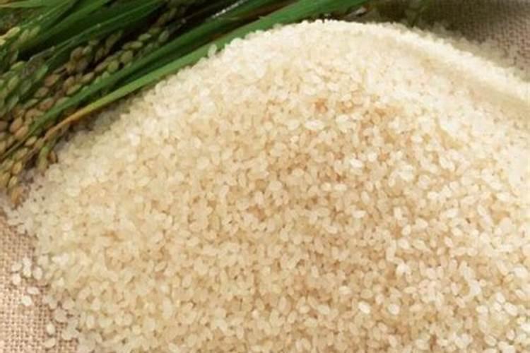 大米可以放土里当肥料吗