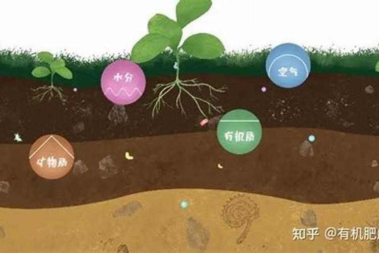 化肥对土壤污染主要表现在哪些方面 化肥是什么原料做成的
