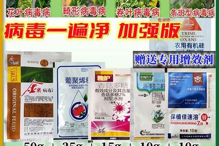 果树在开春这个阶段施什么肥料比较不错呢