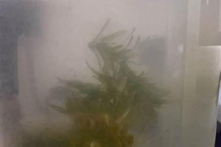 怎样使土壤变好的方法