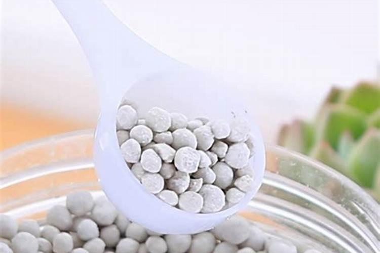 什么可以当做养花的肥料;养花的氮肥有哪些