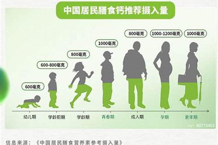 种菜用什么肥料