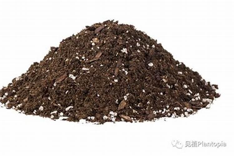 阳台养多肉,可以使用哪些自制肥？