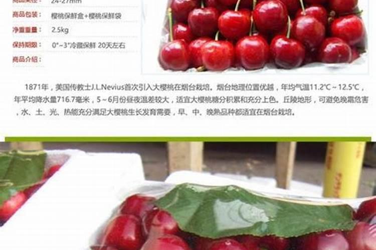 姜荷花怎么养护长的好