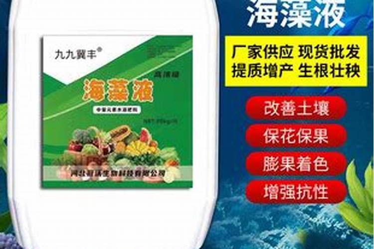 阳光玫瑰全年施肥管理一年施肥要领有哪些