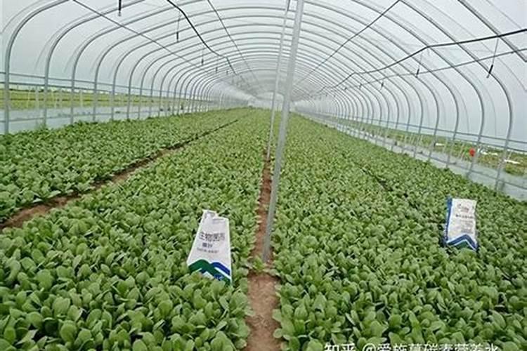 大量元素水溶肥怎么施用
