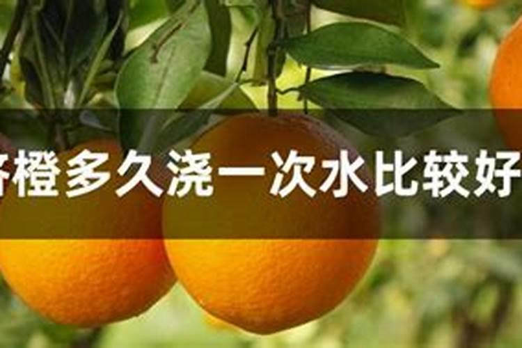 脐橙幼苗怎么施肥 脐橙幼苗施肥时间和方法