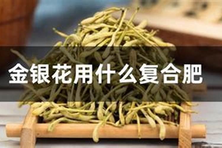 自家养花用什么肥料 养花通用肥料