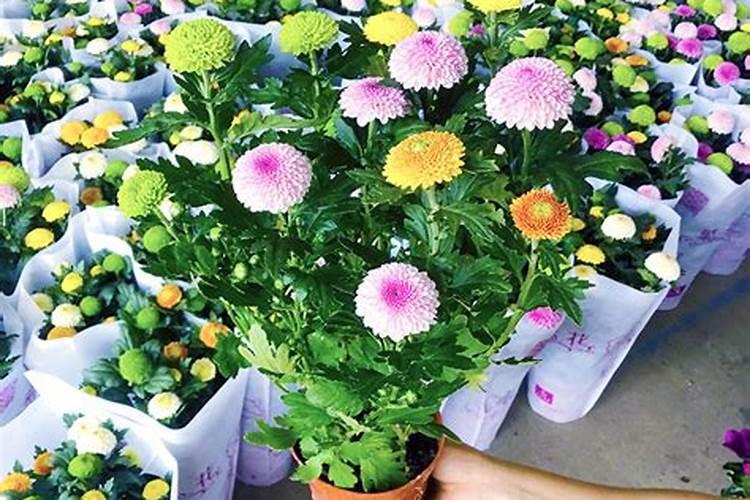 大、中、微量元素的区别