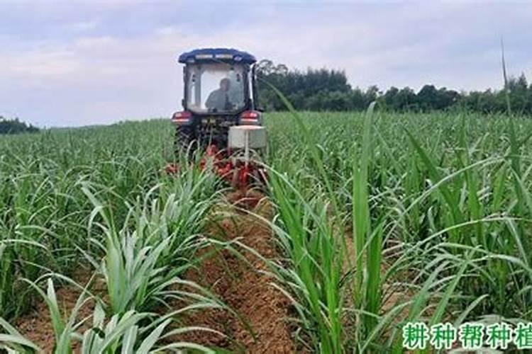 高塔硝基系列复合肥的特点？