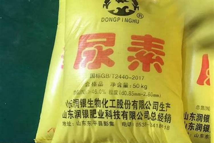 杨树用什么肥料长得快