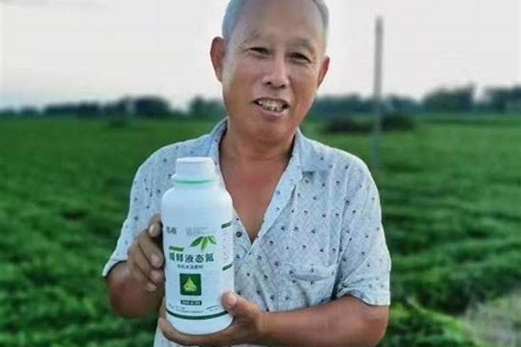 对于不同类型的小麦,从提高品质的角度如何进行氮肥运筹？