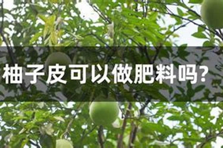 给孩子查微量元素挂哪个科