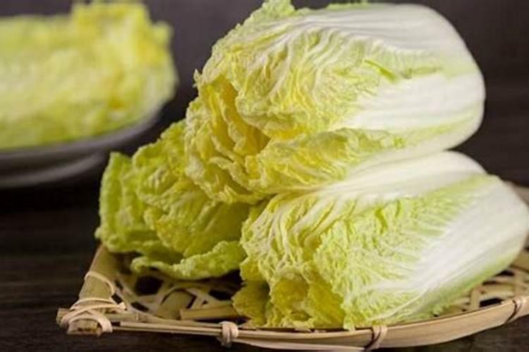 夏天月季叶子发黄干枯是什么原因