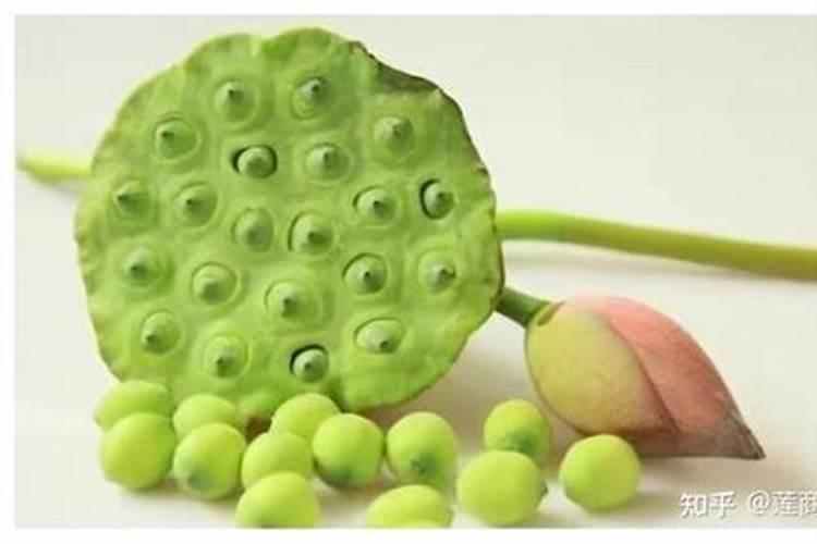 高温季节施药效果不好原因何在？