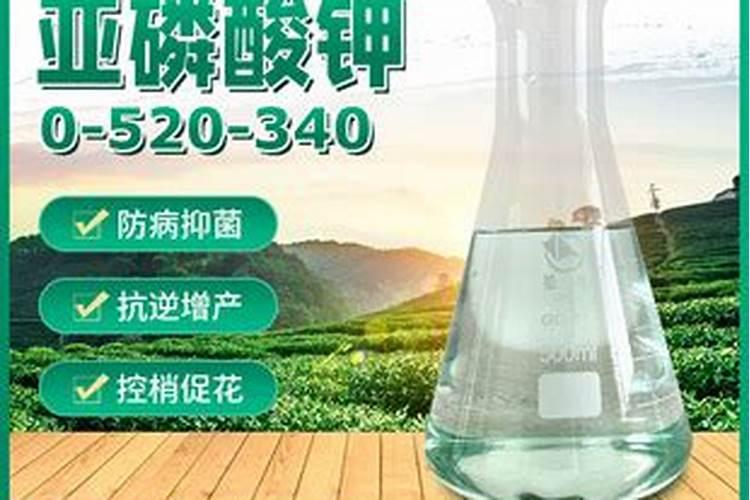 线椒开花到结果多久可以摘