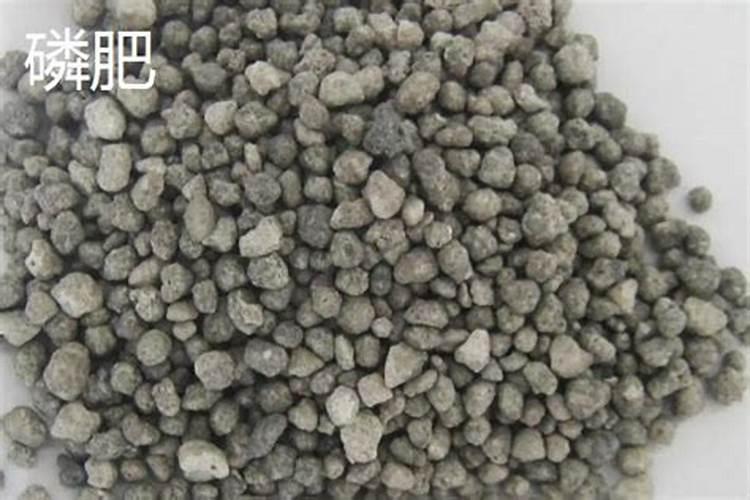 玉米用二铵好还是复合肥好