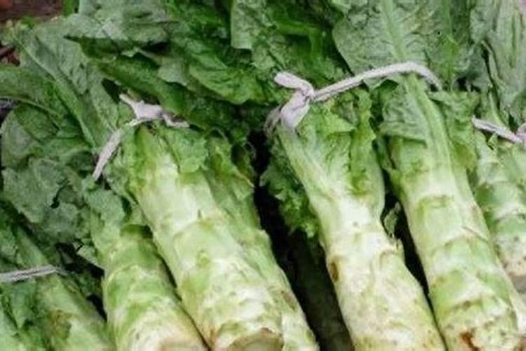果树用什么肥料最好